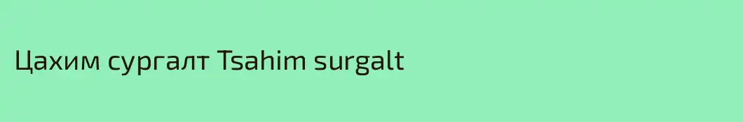 Цахим сургалт Tsahim surgalt